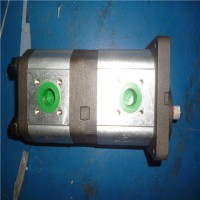 西班牙Roquet鋁齒輪泵和電機從 4 到 26，66 cc/rev |LZ - 低噪音系列