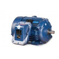 CEMP防爆電機(jī)帶制動(dòng)器的IEC防爆電機(jī)、IEC無(wú)火花和導(dǎo)電粉塵電機(jī)