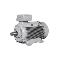 Lammers低壓電機(jī) 效率等級(jí)：IE1、IE2、IE3、IE4