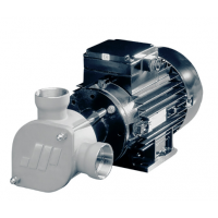 Johnson Pump 柔性葉輪泵-AC  特別適用于艙底、沖洗、消防、化糞池處理和水循環(huán)任務(wù)