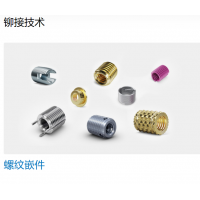 Bossard 提供多種不同類型的螺母，墊圈，螺釘，鉚釘?shù)染o固件