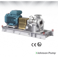 Johnson Pump 重型流程泵，適合化工、煉油廠和一般工業(yè)應(yīng)用