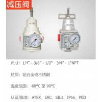Sitecna 減壓閥，為廣泛的應(yīng)用提供了極好的調(diào)節(jié)，堅固和腐蝕