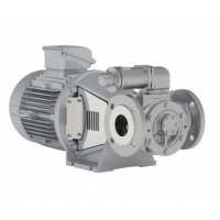 Johnson Pump 內(nèi)嚙合齒輪泵，適用于中等粘度、清潔和非磨蝕性液體