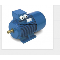 意大利 OEMER 異步電機 MTES3 系列：高效驅(qū)動，賦能工業(yè)新動能