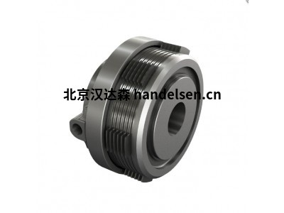 意大利 Transfluid RBD 6S 聯(lián)軸器 柔性減震適用于工業(yè)傳動
