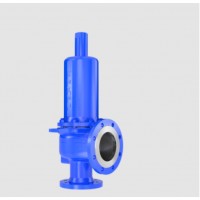 LESER安全閥API系列5262.6593型用于蒸汽，氣體和液體