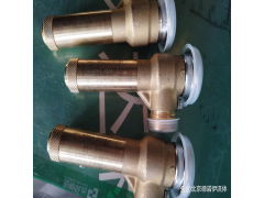 Nuova General安全閥17120412適用于核電應(yīng)用